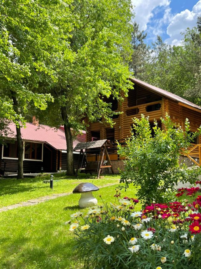 Sky Land Camping & Resort Cricova Exterior foto