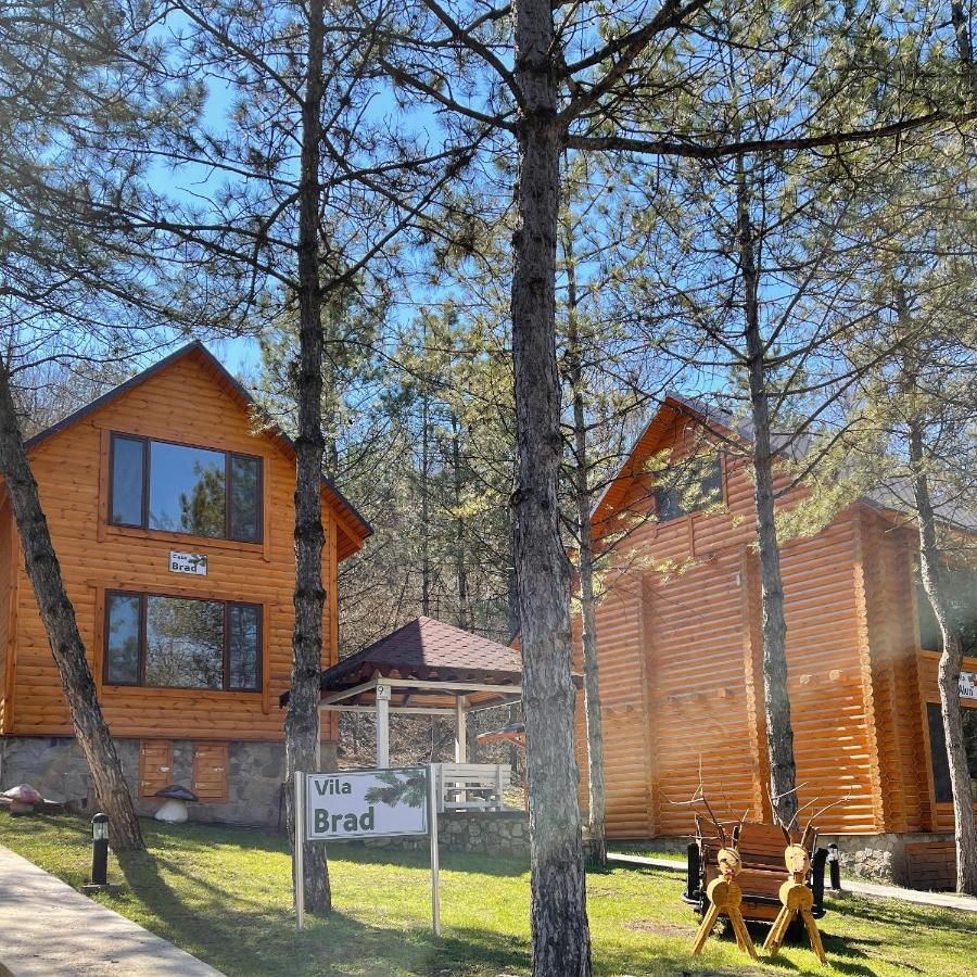 Sky Land Camping & Resort Cricova Exterior foto
